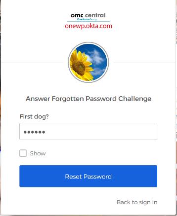 Password Challenge